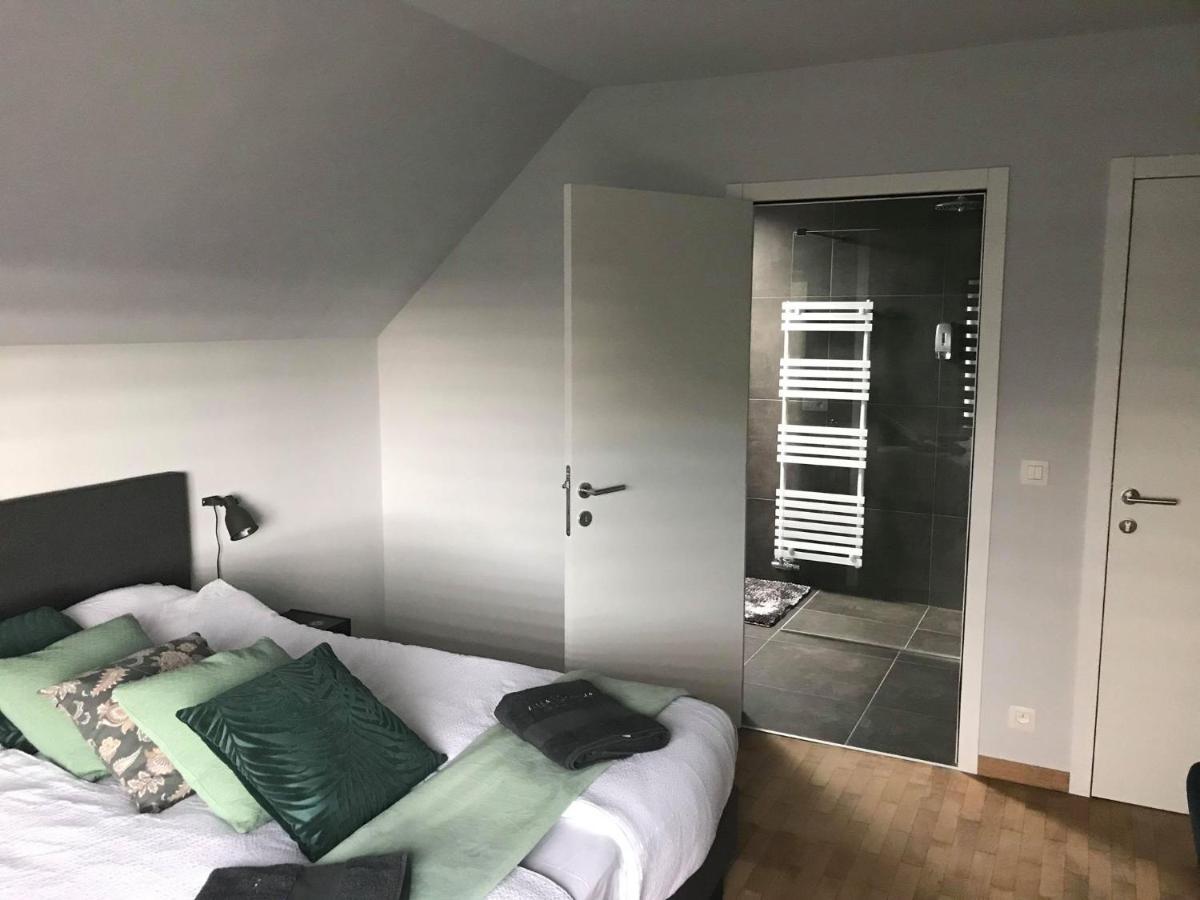 אוסטנדה Villa Cecha B&B &Wellness מראה חיצוני תמונה