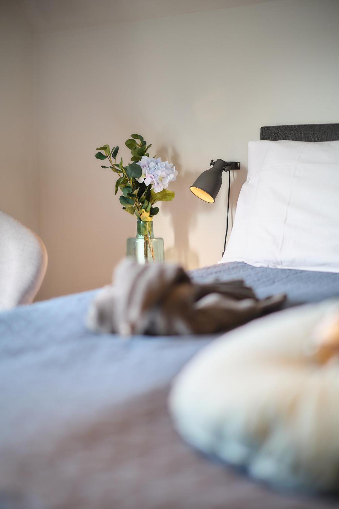 אוסטנדה Villa Cecha B&B &Wellness מראה חיצוני תמונה