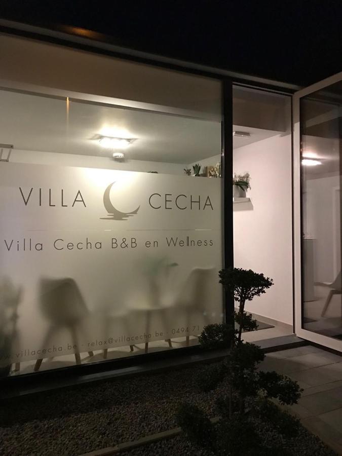 אוסטנדה Villa Cecha B&B &Wellness מראה חיצוני תמונה